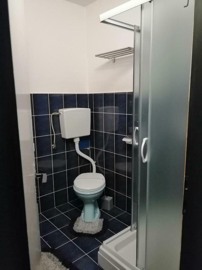 גולובאץ Apartman "Soba Sa Pogledom" מראה חיצוני תמונה